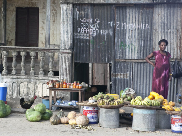 Webinar: “Arbeits- und Lebensbedingungen von Frauen in Moçambique.”