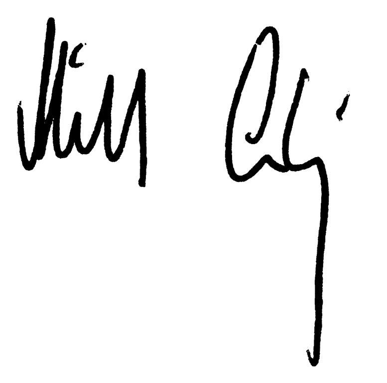 Michael Ludwig Unterschrift Michael Ludwig Unterschrift