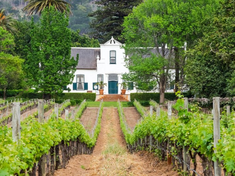 19. Juni 2023: Seminar Weinbau & -handel Südafrika